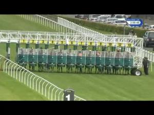 Video preview image for Musselburgh 15:55 - Musselburgh Riding Of The Marches Handicap