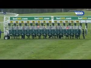 Video preview image for Newmarket 16:45 - Bet365 Handicap