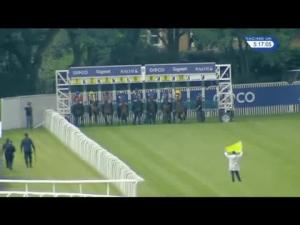 Video preview image for Ascot 17:15 - Jll Handicap (Rnd)