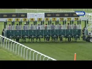 Video preview image for Newmarket 17:20 - Pegasus Group Town & Country Planning Handicap (Silver Bunbury Cup)