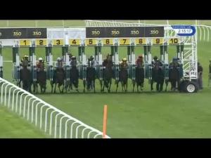 Video preview image for Newmarket 14:15 - Rossdales EBF Stallions Maiden Fillies' Stakes (Plus 10)
