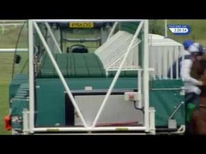 Video preview image for Newmarket 15:25 - Bet365 Mile (Handicap)