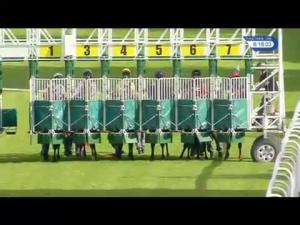 Video preview image for Hamilton Park 18:15 - Highland Spring Maiden Auction Stakes (Plus 10)