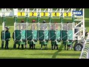 Video preview image for Hamilton Park 18:45 - Sas 'The Power To Know' Handicap