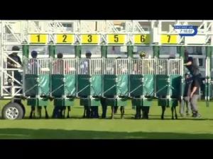 Video preview image for Hamilton Park 19:15 - Sunday Mail Handicap