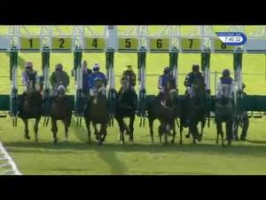 Video preview image for Hamilton Park 19:45 - racinguk.com Handicap