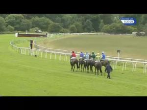 Video preview image for Perth 17:20 - totepoolliveinfo.com For Racing Results Standard Open NH Flat Race