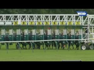 Video preview image for Ayr 14:00 - Longines Irish Champions Weekend EBF Maiden Stakes (Plus 10)