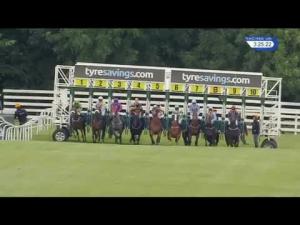 Video preview image for Beverley 15:25 - Malcolm Greenslade Doncaster Lva Stalwart Memorial Handicap (Div 2)