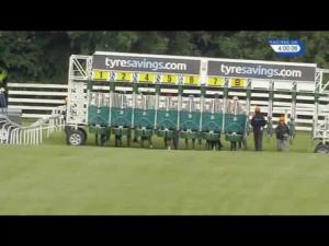 Video preview image for Beverley 16:00 - 131st Year Of The Watt Memorial Handicap