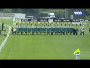 Video preview image for Sandown Park 18:35 - Ror - Retraining Of Racehorses Handicap