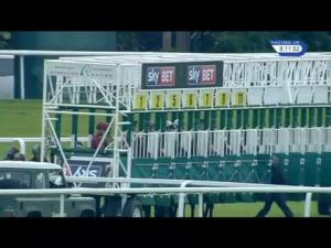 Video preview image for Sandown Park 20:10 - Cappagh Life After Racing Handicap