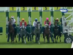 Video preview image for Hamilton Park 14:00 - Irish Stallion Farms EBF Maiden Stakes (Plus 10)