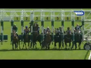 Video preview image for Hamilton Park 14:30 - Watch Racing UK In HD Handicap