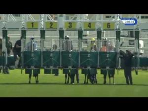 Video preview image for Hamilton Park 15:05 - Racing UK Club Day Here Today Median Auction Maiden Stakes