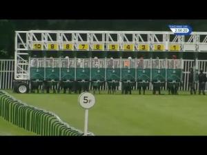 Video preview image for Nottingham 14:55 - Jim Taylor Memorial Handicap