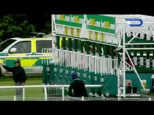 Video preview image for Newbury 15:05 - Upham Brewery Fillies' Handicap