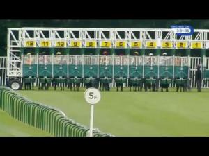 Video preview image for Nottingham 15:30 - Bdn Black Dog Long Run Home Handicap