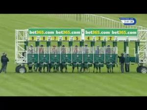 Video preview image for Newbury 15:40 - Tkp Surfacing Rose Bowl Stakes (Listed)