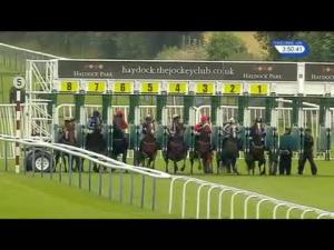 Video preview image for Haydock Park 15:50 - Apollobet Home Of Cashback Offers Handicap