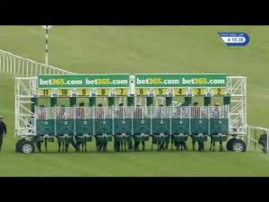 Video preview image for Newbury 16:15 - Compton Beauchamp Estates Ltd Silver Bar Handicap