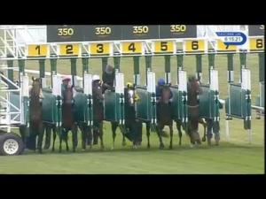 Video preview image for Newmarket 18:15 - Colchester Cancer Centre Campaign Maiden Fillies' Stakes (Plus 10)