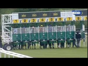 Video preview image for Newmarket 18:50 - Ngk Spark Plugs Handicap
