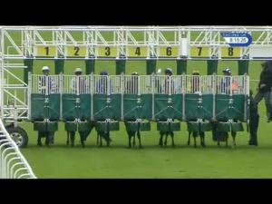 Video preview image for Hamilton Park 20:15 - EBF Stallions Glasgow Stakes (Listed)