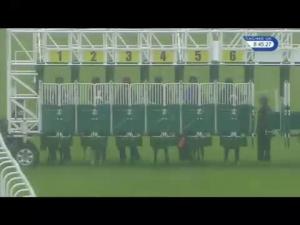 Video preview image for Hamilton Park 20:45 - Jordan Electrics Handicap