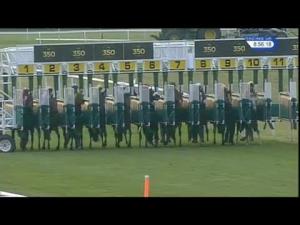 Video preview image for Newmarket 20:55 - Maritime Cargo Services Handicap