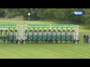 Video preview image for Newbury 15:35 - Bet365 Hackwood Stakes (Group 3)