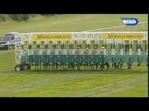 Video preview image for Newmarket 15:50 - Newsells Park Stud Stakes (Fillies' Listed) (Registered As The Aphrodite Stakes)