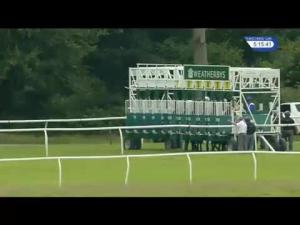 Video preview image for Newbury 17:15 - Grundon Recycling Handicap