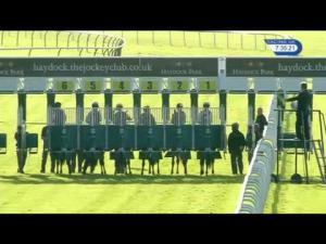 Video preview image for Haydock Park 19:35 - British Stallion Studs EBF Novice Stakes (Plus 10)