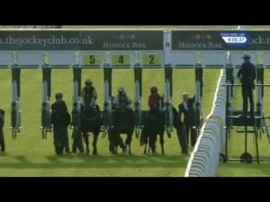 Video preview image for Haydock Park 20:05 - Bill Rothwell Memorial Conditions Stakes