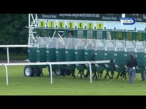 Video preview image for Haydock Park 21:05 - Racing Union Handicap