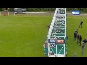 Video preview image for Redcar 16:45 - Sky Bet Go-Racing-In-Yorkshire Summer Festival Handicap