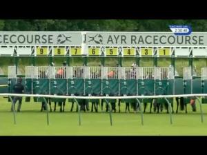 Video preview image for Ayr 14:30 - Polyflor Handicap