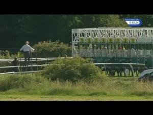 Video preview image for Nottingham 17:40 - racinguk.com Racing Excellence Apprentice Training Series Handicap