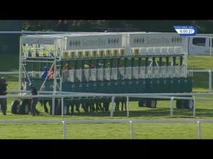 Video preview image for Sandown Park 18:00 - Hampton Court Apprentice Handicap (Jockey Club Grassroots Flat Middle Distance Series Qualifier)