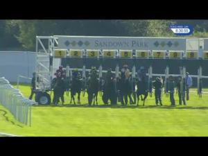 Video preview image for Sandown Park 18:30 - Thames Ditton Handicap