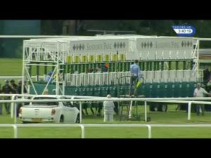 Video preview image for Sandown Park 15:40 - Ebm-Papst Handicap