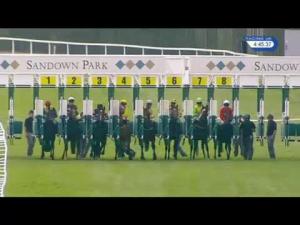 Video preview image for Sandown Park 16:45 - Lubricators Handicap