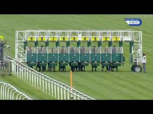 Video preview image for Newbury 18:35 - Indzine Nursery