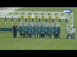 Video preview image for Newbury 19:10 - Daisy's Dream Handicap