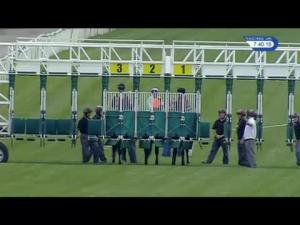 Video preview image for Newbury 19:40 - South Downs Water Conditions Stakes