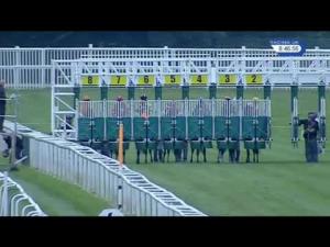 Video preview image for Newbury 20:45 - Lodge Hotel At Newbury Racecourse Handicap (Str)