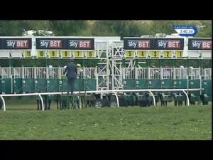 Video preview image for Thirsk 15:40 - British Stallion Studs EBF Maiden Fillies' Stakes (Plus 10)