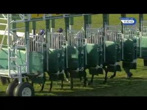 Video preview image for Newmarket 18:40 - Home Of Horseracing Nursery