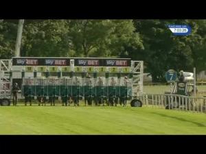 Video preview image for York 19:00 - Best One Median Auction Maiden Stakes (Plus 10)